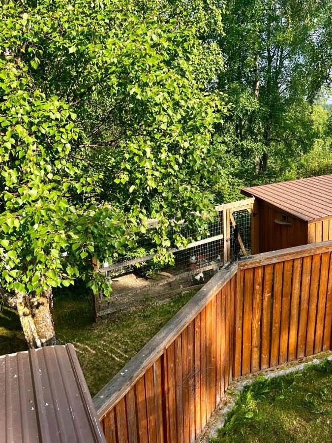 Indian Ak 25 Min To Anchorage & 25 Min To Girdwood Exterior foto