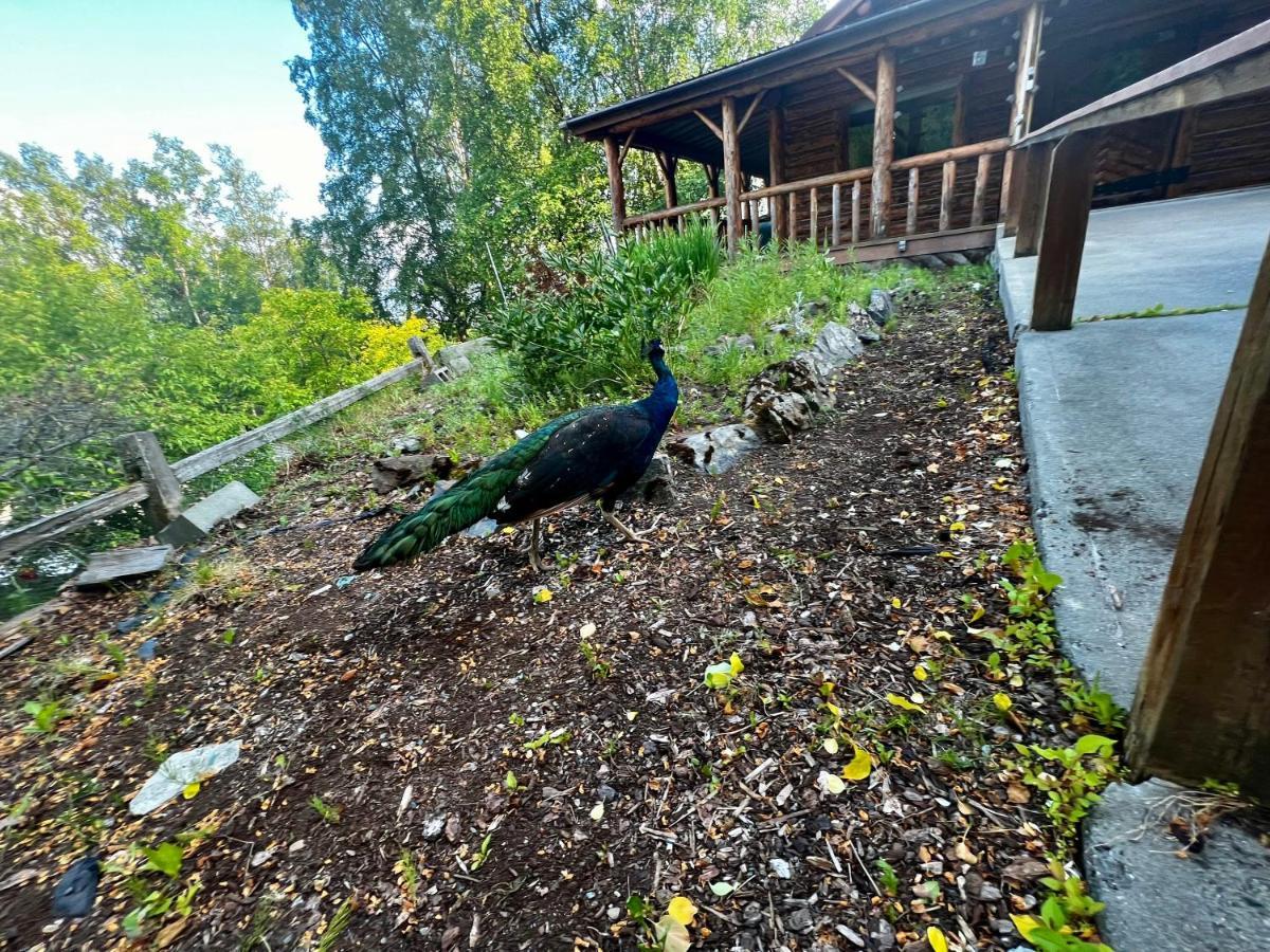 Indian Ak 25 Min To Anchorage & 25 Min To Girdwood Exterior foto